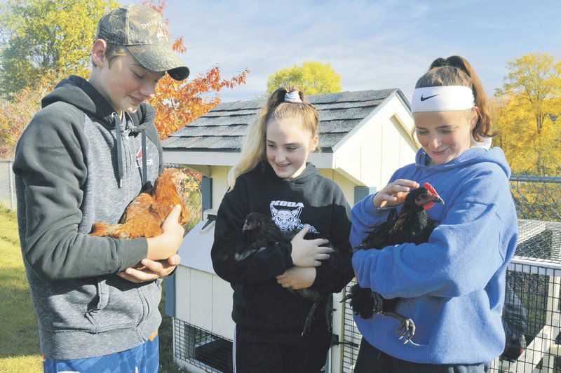 UV adds chickens to agriculture program